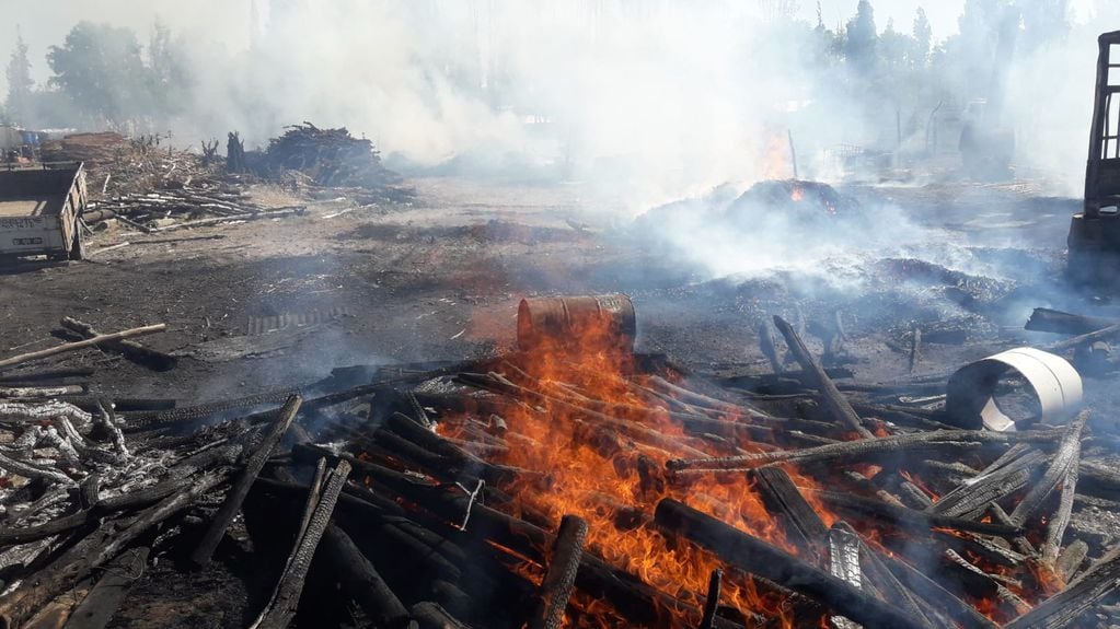 Un grave incendio azotó a una maderera de Luján y debieron intervenir dotaciones de Bomberos de varios departamentos. - José Gutiérrez / Los Andes