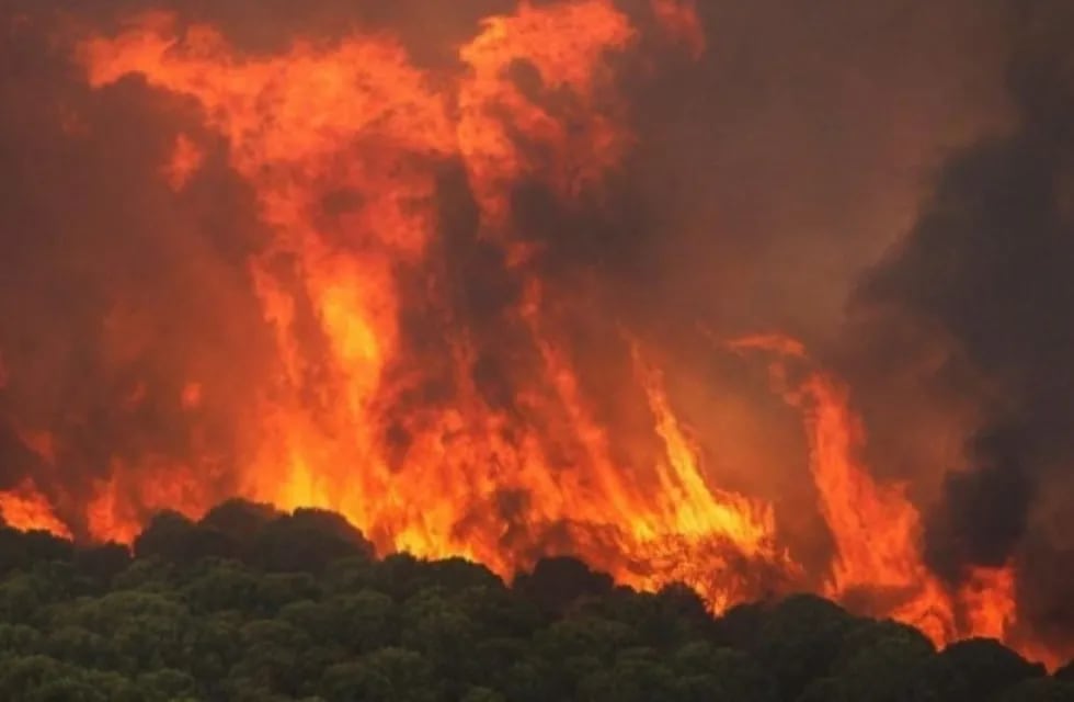 Cientos de evacuados por incendio en suroeste de España. Gentileza / La Calle