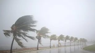 Comenzó la época de huracanes en el Atlántico y esperan que haya entre 5 y 9 esta temporada