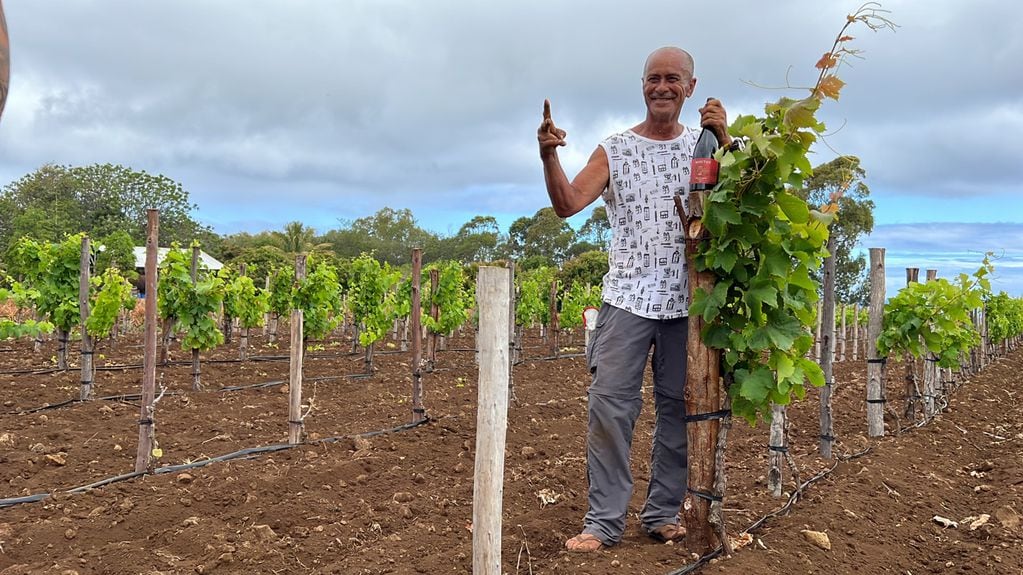 El agricultor rapanui José Tuki posa con una botella de vino Manutahi, es el primer vino cultivado, cosechado y embotellado en la isla de Pascua. Foto EFE