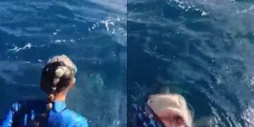 Una científica estuvo a un instante de tirarse por error adentro de la boca de un tiburón