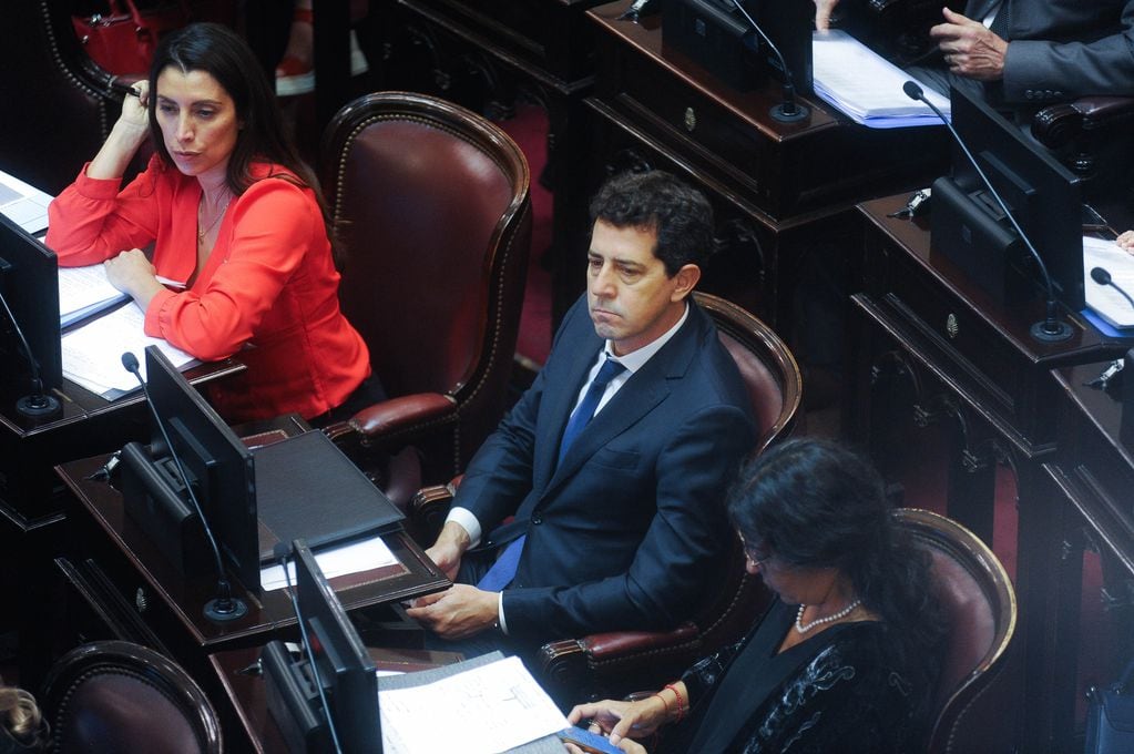 Eduardo "Wado" de Pedro durante la sesión del Senado para debatir el DNU. Foto: Federico Lopez Claro