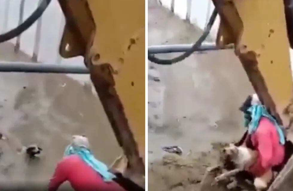 Un grupo de obreros rescató de un canal a un perro que casi muere ahogado.