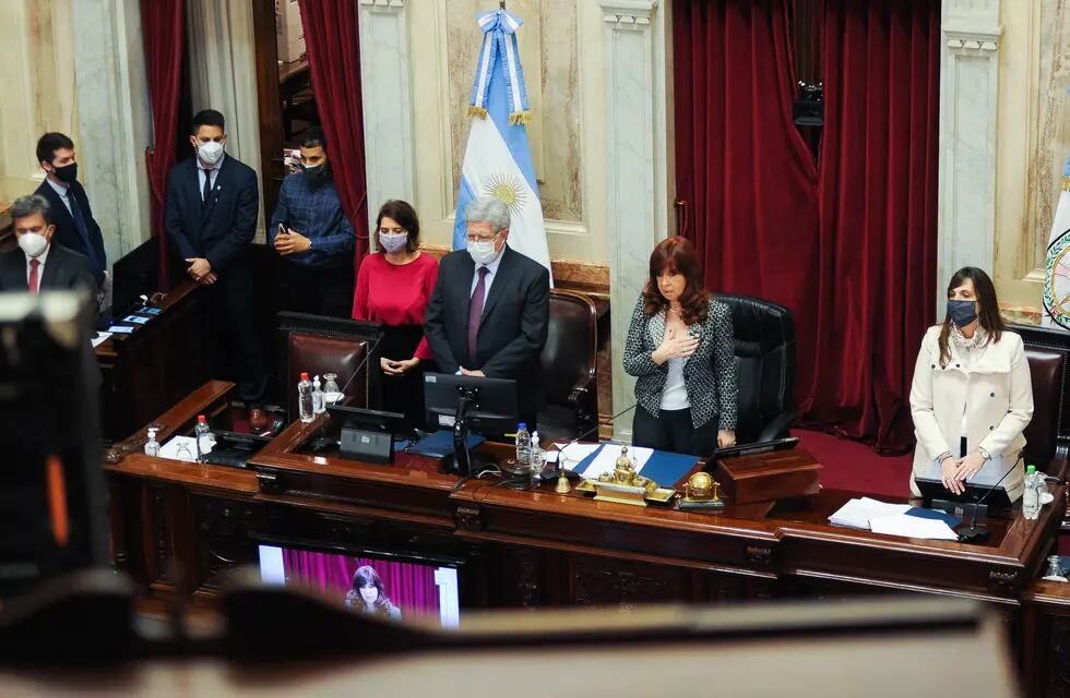 Cristina Fernández de Kirchner durante la sesión en el Senado. Foto Federico Lopez Claro