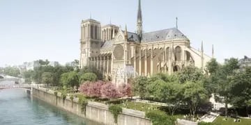 Notre Dame restauración