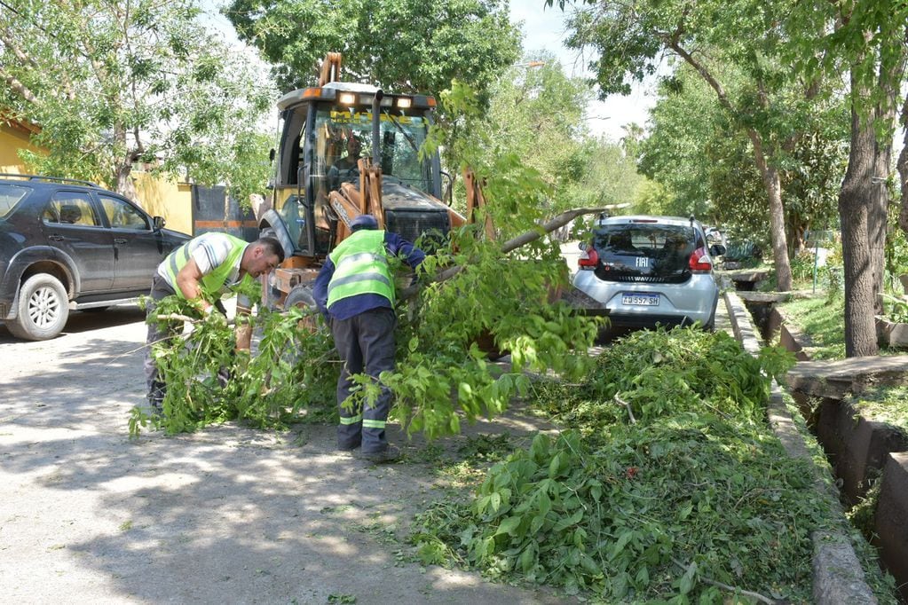 Daños y trabajos en Lavalle tras la fuerte tormenta de granizo - Prensa Municipalidad de Lavalle