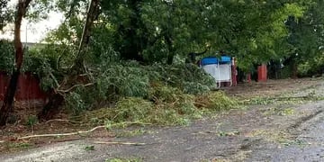 Daños de la tormenta en Barrancas, Maipú