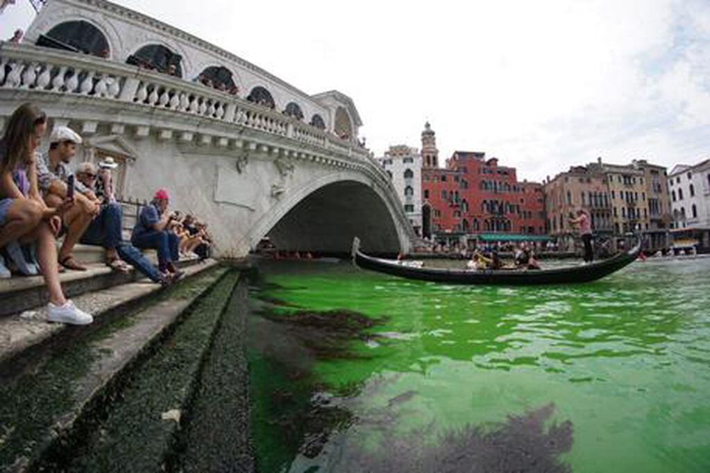 Los canales se tiñeron de verde fosforescente. Foto: Ansa.