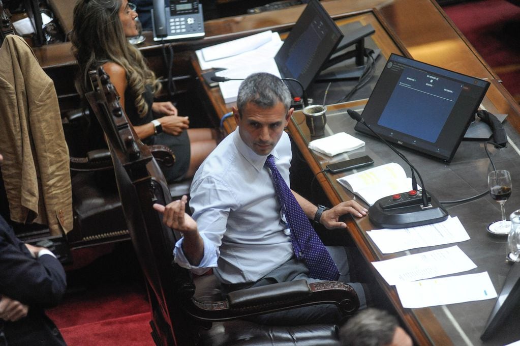 El presidente de la Cámara de Diputados, Martín Menem. Foto: Federico Lopez Claro