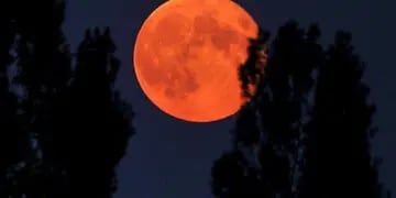“Superluna de flores” y “Luna de Sangre”: cuándo y dónde ver estos fenómenos astronómicos