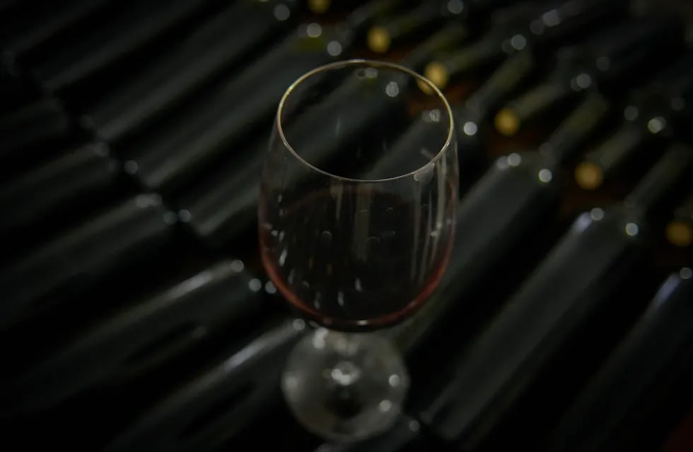 Un vino mendocino es el más consumido en todo Reino Unido. - Archivo / Los Andes

 
Foto: Orlando Pelichotti / Los Andes