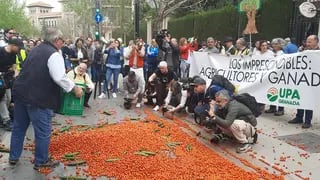 Protestas en Europa