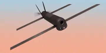 Drones kamikaze Switchblade