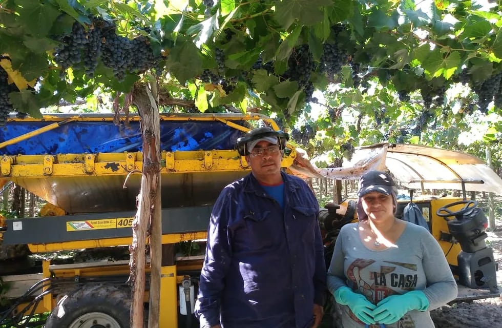 Julio Bustos y Natalia Anglat son agricultores y cosechadores de Rivadavia.