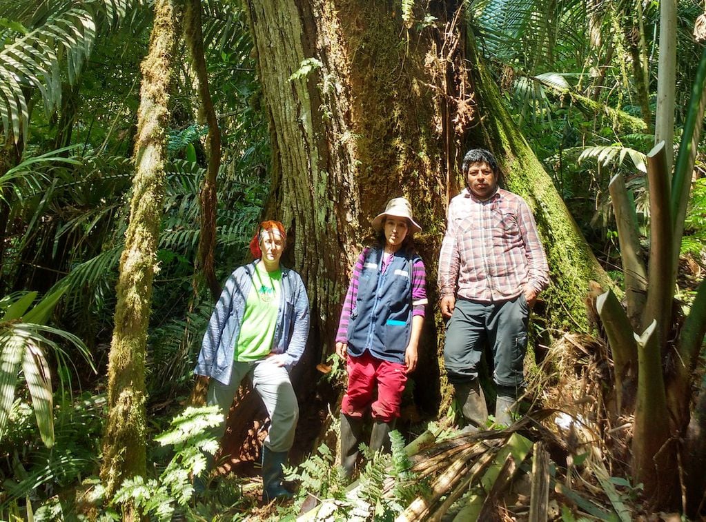 ​La doctora María Eugenia Ferrero (izq) trabajando en los bosques montanos junto a colegas peruanos.