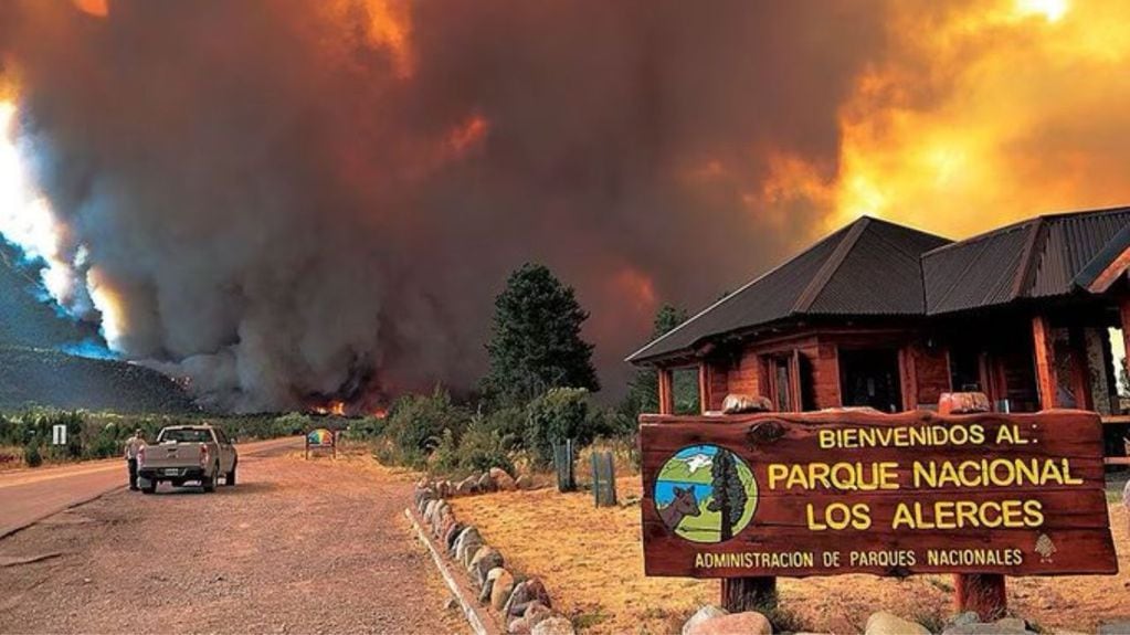 El Parque Nacional Los Alerces en llamas. Foto: Redes.
