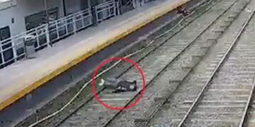 Un hombre cayó a las vías del tren y se salvó de milagro