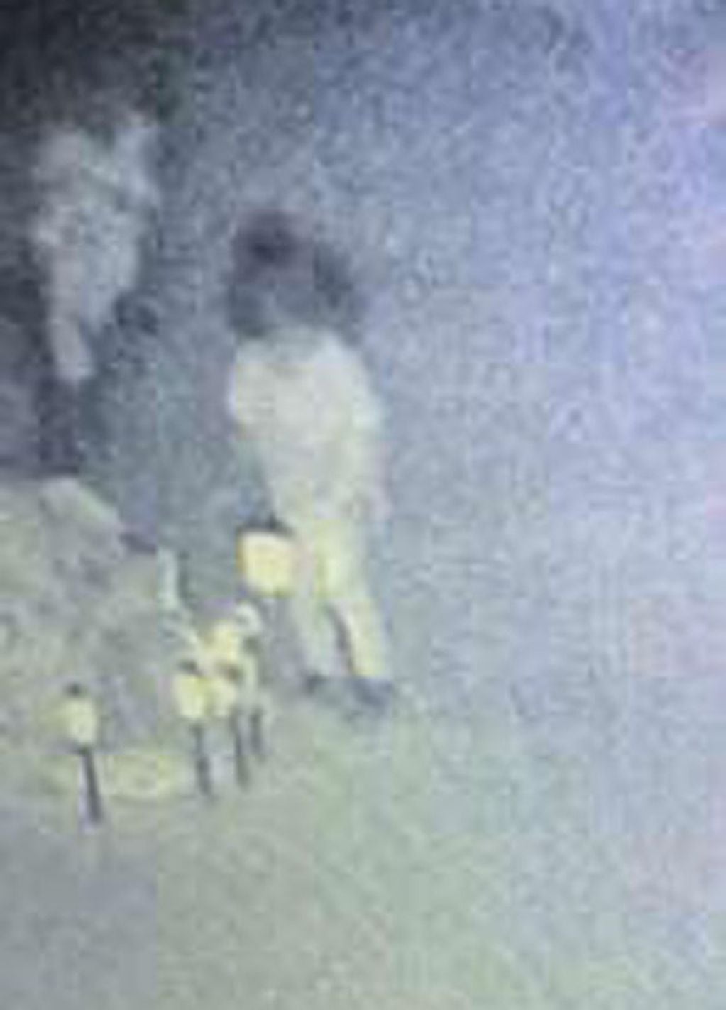 Las imágenes muestran a una nena que deambula por el cementerio y se detiene en varias tumbas.