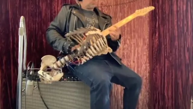 Esqueleto guitarra
