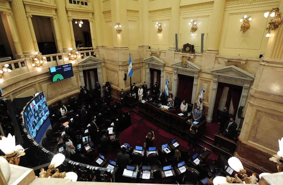 Sesión en el Senado (Foto: Clarín)