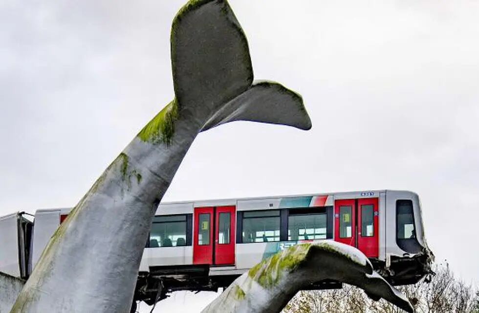 El primer vagón quedó sostenido por la obra de arte llamada "Colas de ballena". Foto: Gentileza