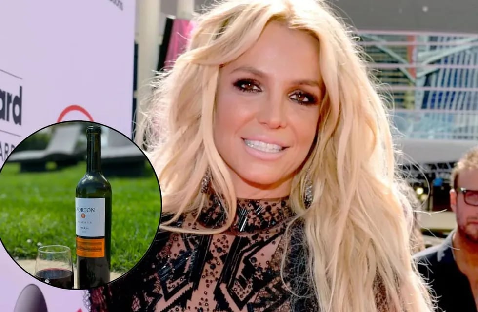 La bodega creadora del vino que le gustó a Britney Spears lanzó una increíble promoción en su página web.