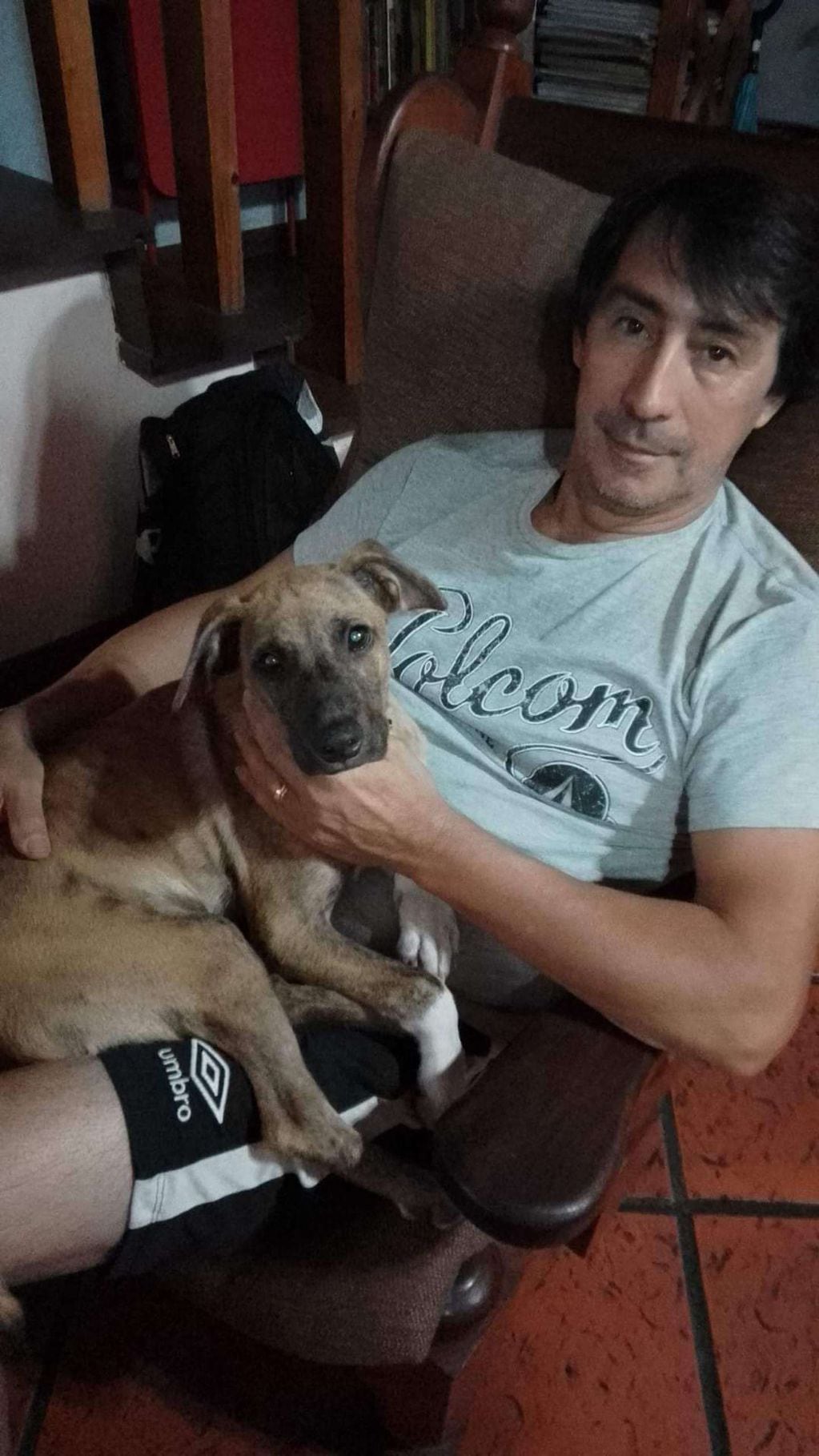 Julio, el vecino que rescató al pequeño can lo nombró Noel y lo llevó al veterinario.