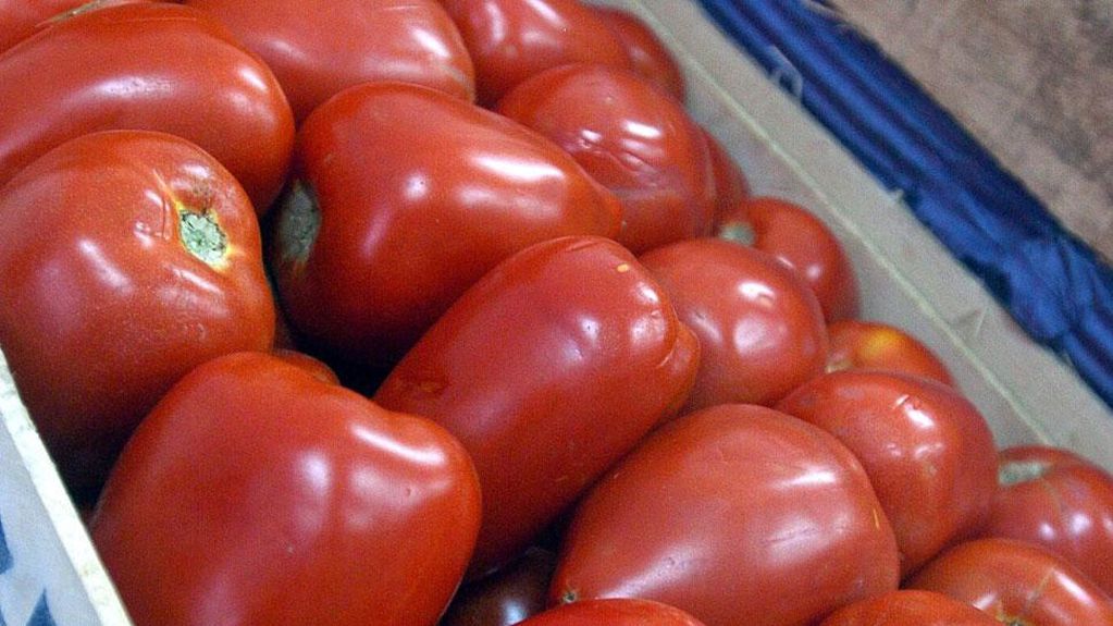 Cajón de tomate, se vente a $13.000. 