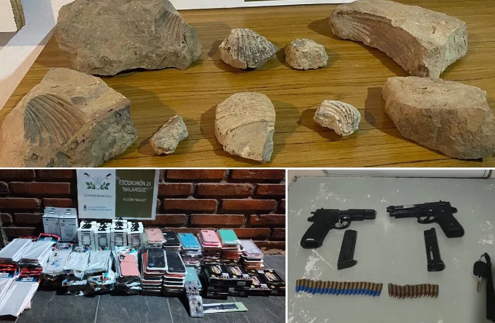 Secuestraron mercadería de contrabando, armas y hasta restos paleontológicos en Malargüe.  | Fotos: Gendarmería Nacional