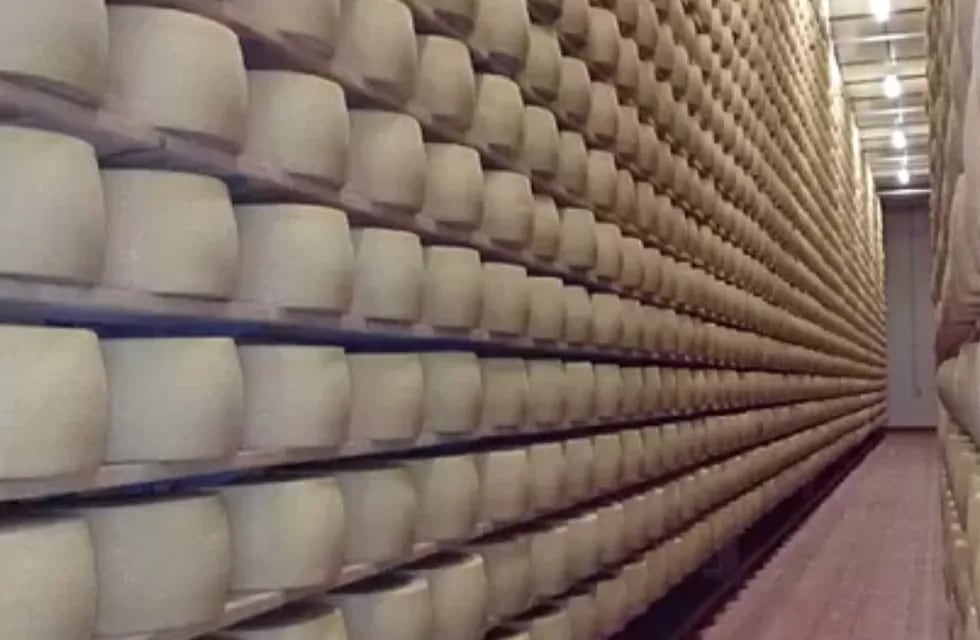 Hormas de queso de Grana Padano en las instalaciones de la granja.Chiapparini Giacomo (Facebook)