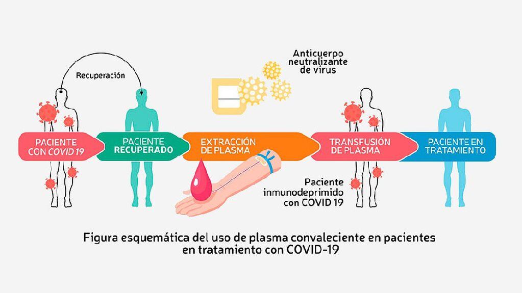 Un grupo de 60 investigadores, la mayoría argentinos, realiza ad honorem protocolos de emergencia para el uso de plasma. Fuente: CPC-19.