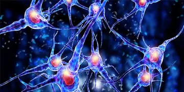 ELA: cómo identificar y diagnosticar esta enfermedad neurodegenerativa