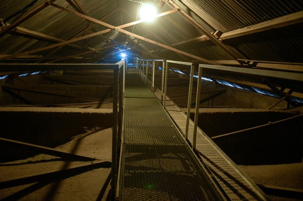 Laberintos suspendidos en los entretechos que separan el techo de hormigón armado y el techo a dos aguas de chapas de zinc centenarias.