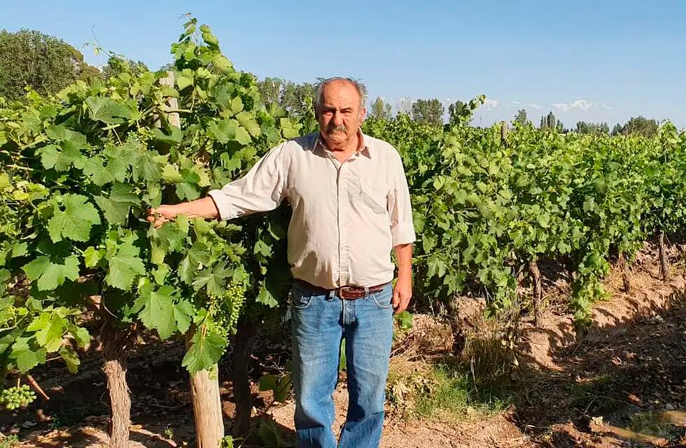 Mario Leiva: “la uva fina tiene que salir lo mismo que un dólar blue por kilo”