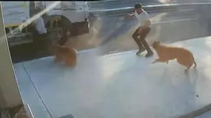 Hombre atropellado en Estambul