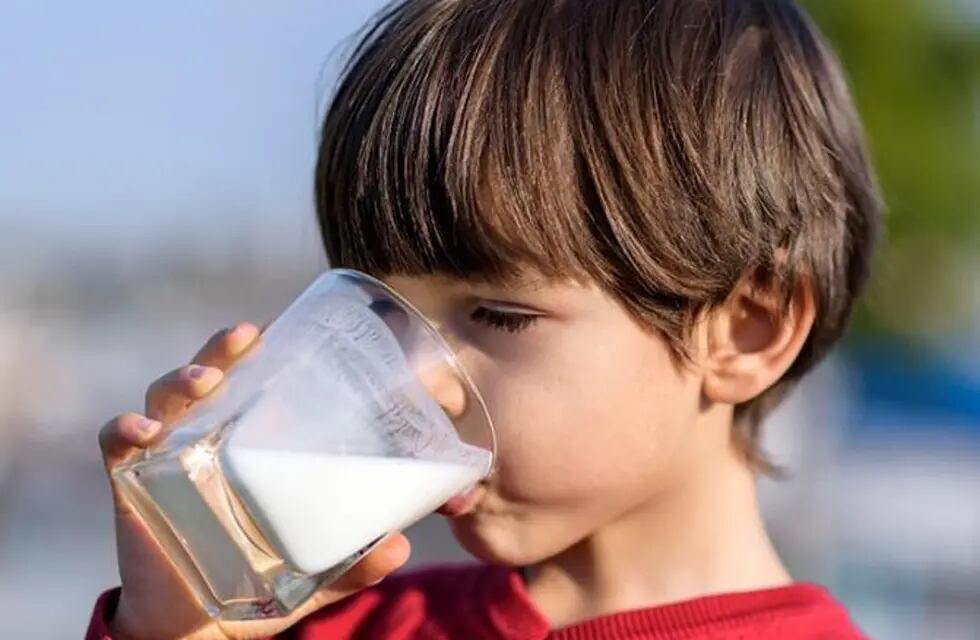 La leche y sus derivados aportan nutrientes como proteínas, calcio, vitaminas A, B1, B2, B12 y D. | Imagen ilustrativa / Web