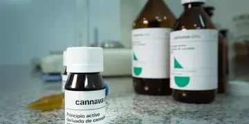 producción de cannabis medicinal en Jujuy