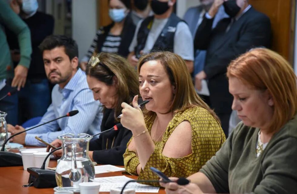 Cecilia Moreau encabeza el debate sobre la ley de alquileres en la Comisión de Legislación General (Foto: HCDN)
