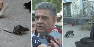 Una rata causó pánico en plena conferencia de Jorge Macri y el video se hizo viral