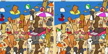 Test viral: ¿sos capaz de encontrar las siete diferencias de los animales en la playa?