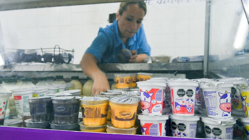 Para ahorrar, la gente elige los tambos y marcas mendocinas  para comprar  lácteos, quesos y demás derivados de la lecheFoto: José Gutierrez / Los Andes