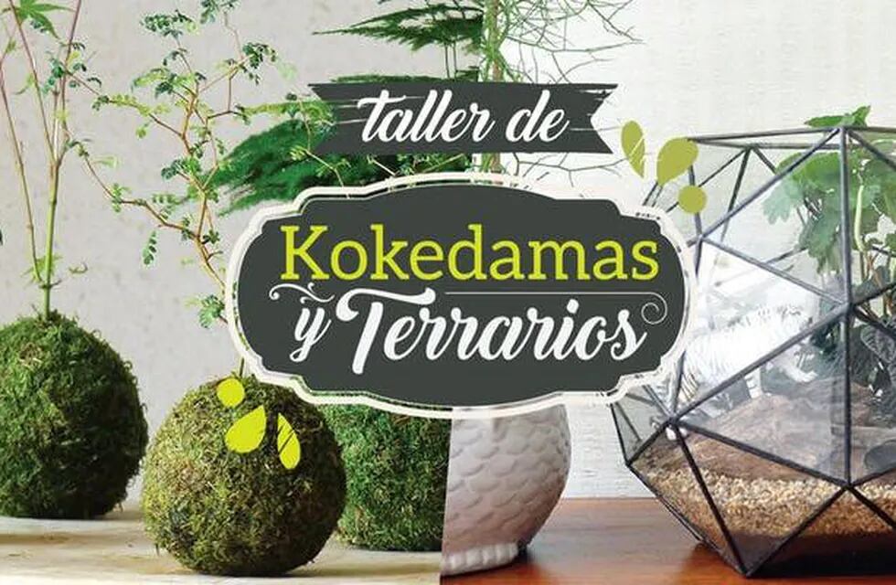 Este mes, llega el Momento Creativo de: Kokedamas y Terrarios