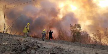 Incendio en la reserva ecológica Parque Sarmiento