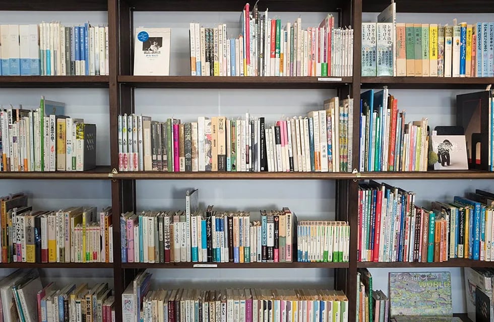 El estudio de varias académicas mendocinas ha contribuido a darle fisonomía al panorama literario de Mendoza. Foto: Pixabay / Grupo Edisur