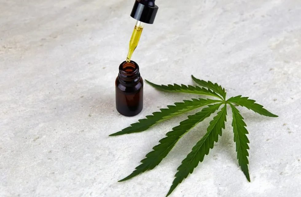 Quedó oficializada nueva reglamentación para facilitar el acceso al cannabis para uso medicinal