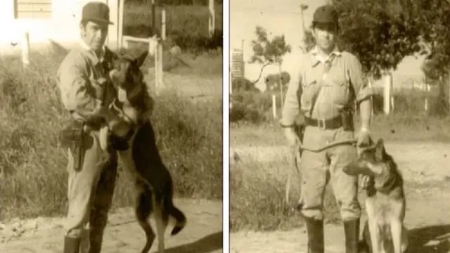 Chonino, perro de la Policía Federal Argentina