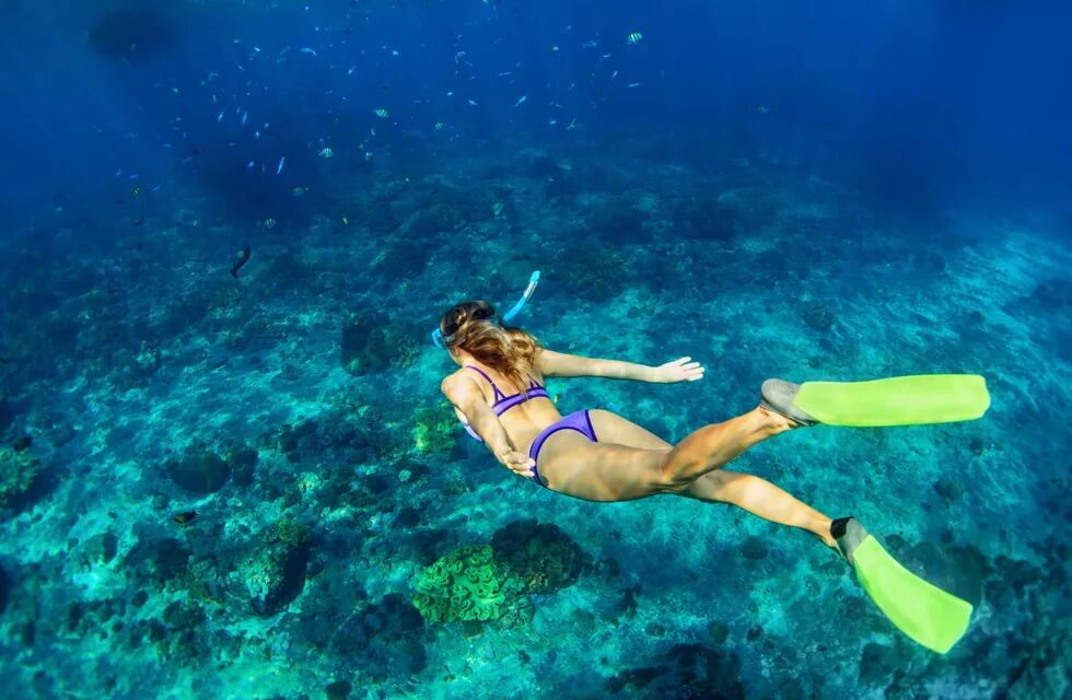 Las excursiones bajo el agua son las favoritas de quienes visitan Costa Mujeres. Se puede hacer snorkel entre delfines y peces tropicales, visitar un museo de arte subacuático y también la Cueva de los Tiburones Dormidos.