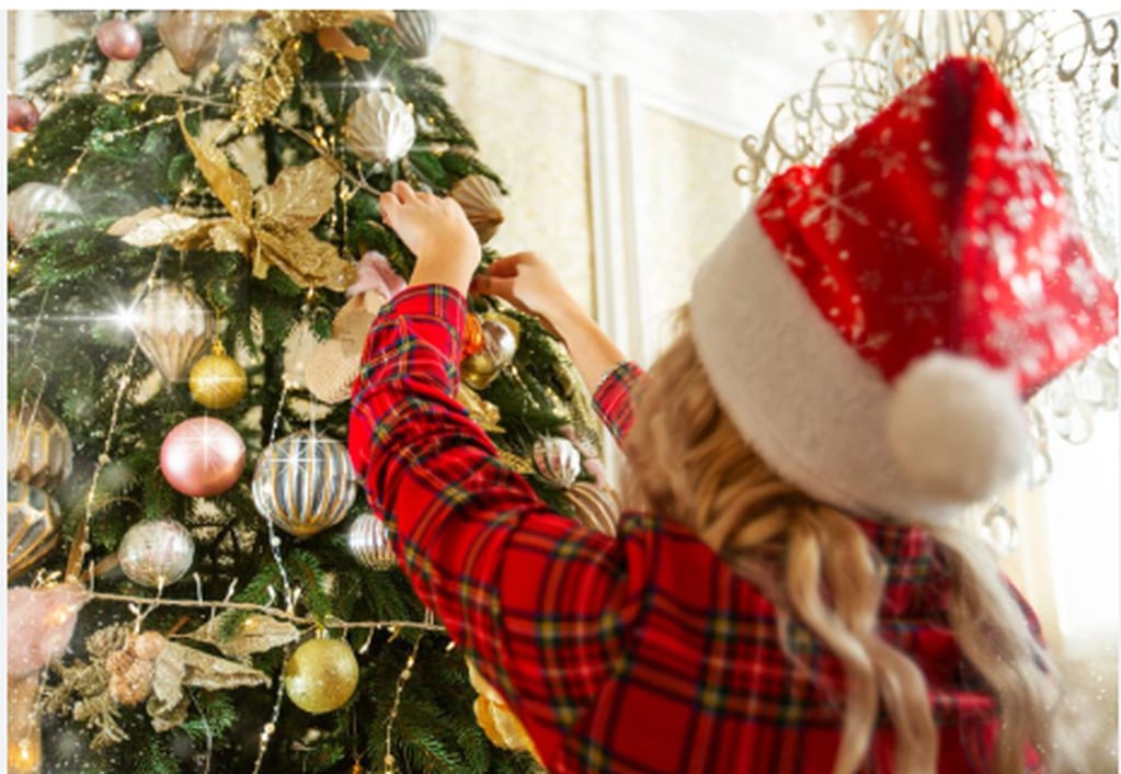 
Cuánto cuesta armar el arbolito de Navidad este año
