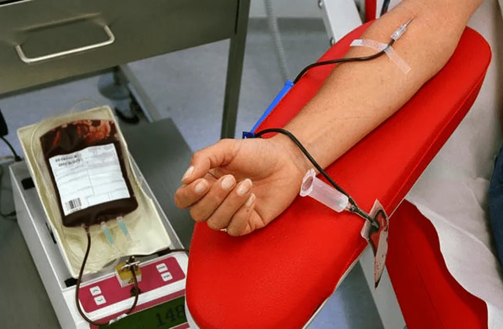 La Asociación Argentina de Hemoterapia incluyó como impedimento para donar sangre ser homosexual