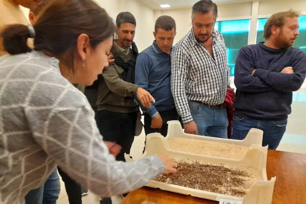 Productores de cítricos de Entre Ríos visitaron la bioplanta del Iscamen